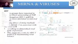 miRNA siRNA سخنرانی ماهانه انجمن ویروس شناسی ایران