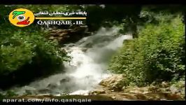 گلستانیم سنینگ ایران