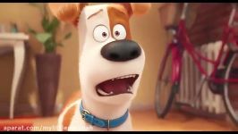 The Secret Life of Pets  Trailer