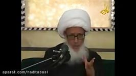 بیانات حضرت آیت الله وحید در مورد اهمیت عزای فاطمیه