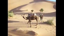 ویدیو صحرا اثر سیاوش کامکار