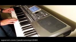 Pedram MP7 With Korg Pa900