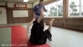 jujitsu vs aikido