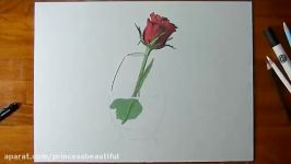 Drawing Time Lapse a red rose in glass vase