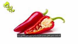 ۶ مواد غذایی چربی بدن را می سوزانند