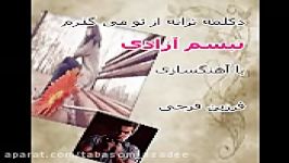 از تو می گذرم