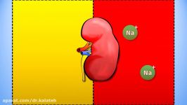 Primary Polydipsia Hyponatraemia Full HD