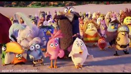 تریلر جدید انگری بردز 2016 The Angry Birds TRAILER