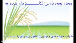 کلیپ طنز گیلکی خواب شغالی ازداوود خانی لنگرودی