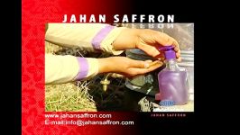 معرفی جهان زعفران قسمت4 Introducing Jahan Saffron P4