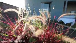 Best rooftop garden  over 400 different plants on one