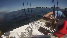 Catching Bait under the Skyway Bridge