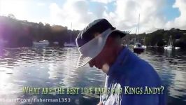 Andys live bait tips and Kingfish