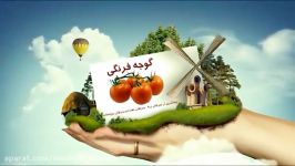 مواد غذایی محافظت کننده دربرابر سرطان