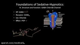 GABA receptor