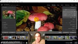 10 آموزش Adobe Lightroom  ناحیه اثرگذاری در دولوپ