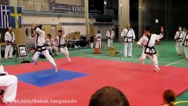 کلیپ هنرهای رزمیتانگ سودوTANG SOO DO