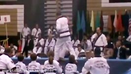 کلیپ هنرهای رزمیتانگ سودوTANG SOO DO