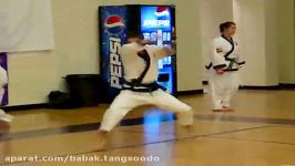 کلیپ هنرهای رزمیتانگ سودوTANG SOO DO