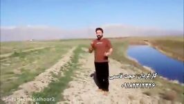 ملوانک  ساسان نظری  کلهر