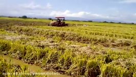 Daedong kioti tractor Video