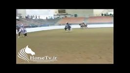 اسب سواری زنان اسب عرب اصیل