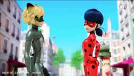 Miraculous Ladybug Chat Noir