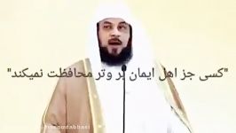 محمد عریفى نماز وتر