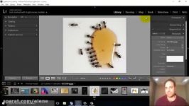 4 آموزش Adobe Lightroom  متادیتا