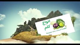 مواد غذایی محافظت کننده در برابر سرطان