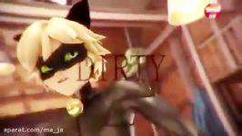 Cat Noir Miraculous LadyBug  Talk Dirty to Me  YouT