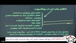 زیست1  فصل 1 2 پیش دانشگاهی  دکتر میوه چی