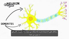 یاخته عصبی یا نورون چیست؟