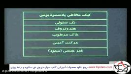 زیست1  آغازیان 2 قارچ ها  دکتر میوه چی