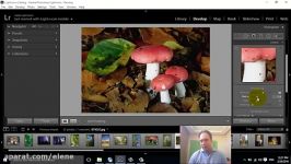 9 آموزش Adobe Lightroom  جزئیات عکس