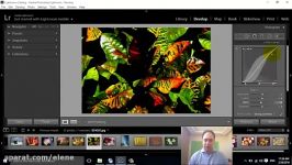 7 آموزش Adobe Lightroom  اچ اس ال  سیاه سفید رنگ