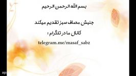 زنان بدکاره مهمانان ویژه امام رضا