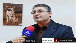 تصویر برداری 3 قلاده یوز پلنگ آسیایی در پناهگاه میان