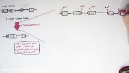 Immunology  Antibody Somatic VDJ Recombination II