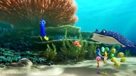 تریلر انیمیشن 2016 Finding Dory در جست جوی دوری