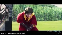 Top 10 Harry Potter Characters