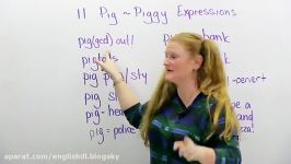 PIG expressions in English pig out pig tails piggy