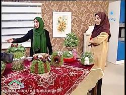 آموزش سبزه طرح داربرای سفره هفت سینبه خانه برمی گردیم