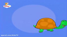 Tortoise  Learning Animal Sounds and Names for Kids