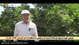 تضمین عملکرد وجود تنش گرمایی شدید