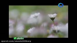 نماهنگ بهارانه صدای حجت اشرف زاده