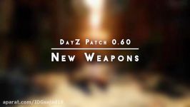 DayZ Patch 0.60  What to Expect Silo