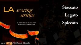 وی اس تی استرینگ LA Scoring Strings