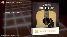 Evolution Acoustic Guitar Steel Strings  Chord Modes