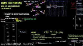 The DNase Footprinting Method